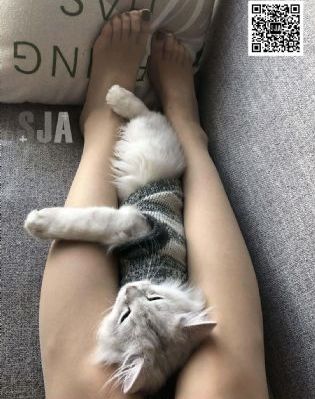91人体视频_720天堂在线